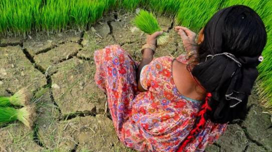 Adapt Now: 3 Ways to Meet the Climate Change