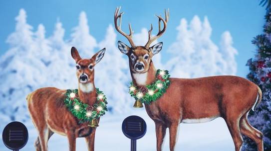 How to stay eco-friendly during the festive season?