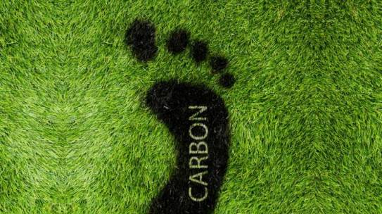 What is your “carbon footprint” size?
