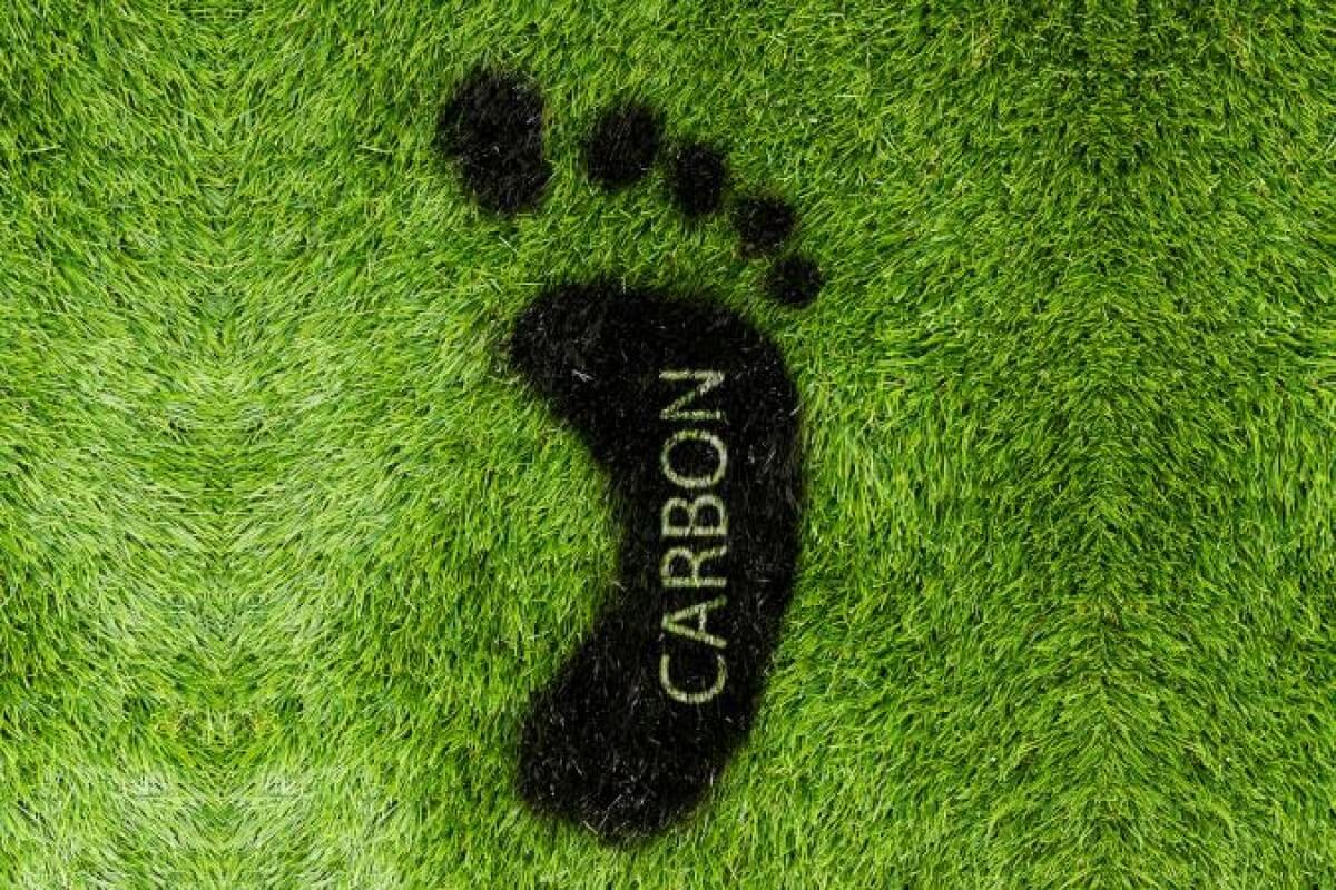 carbon footprint